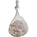 Seashells Mixed Bag of 200 Assorted Piece Bulk Pack for Home Kitchen Offices Indoors and Outdoors Wedding Baby Shower Birthday Summer Beach Nautical Theme Kids Party Favor Craft Supplies Décor