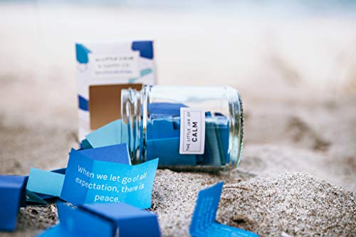 The-Little-Calm-and-Happy-Company-Calm-and-Mindfulness-Positive-quotes-Jar-30-Notes-powerful-quotes-Inspirational-Positive-Messages-for-Daily-Motivation-and-Meditation-Incl-Gift-Box