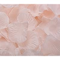 Flyusa 1000pcs Fabric Silk Rose Flower Petals Wedding Table Scaters Confetti Bridal Party Flower Girl Decoration(Champagne)