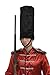 Forum Novelties Men's Novelty Adult English Guard Hat, Black, One Size