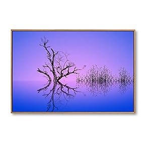 Framed Canvas Wall Art for Living Room, Bedroom Animals Canvas Prints for Home Decoration Ready to Hang - 16x24 inches