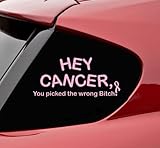 Hey Cancer You picked the wrong bitch Ribbon vinyl decal bumper sticker survivor breast fight like a girl awareness