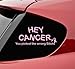 Slap-Art Hey Cancer You picked the wrong bitch Ribbon vinyl decal bumper sticker survivor breast fight like a girl awareness