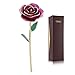 zjchao 24K Rose for Her, Eternal Love Real Gold Plated Rose Flower, Romantic Present for Wife, Mom, Grandma, Anniversary, Birthday, Wedding ()