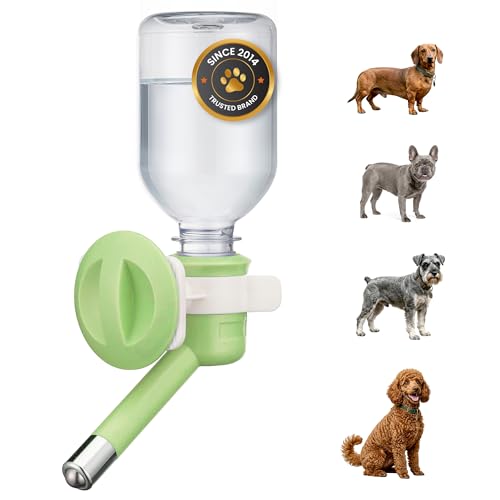 Choco Nose No-Drip Water Bottle