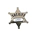 Metal Sheriff's Badges (2-Pack of 12)