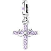 Amieween S925 Charms for Pandora Bracelets and Necklaces, Gift for Love, Couple, Family, Friend, on Birthday, Anivesary, Christmas, Valentine's Day, Mothers Day