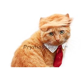 Prymal Comfort Trump Cat/Dog Costume for Halloween, Parties and Pictures