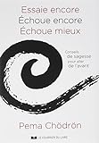 Essaie encore Echoue encore Echoue mieux : Conseils de sagesse pour aller de l'avant by