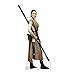 Advanced Graphics Rey Life Size Cardboard Cutout Standup - Star Wars Episode VII: The Force Awakens