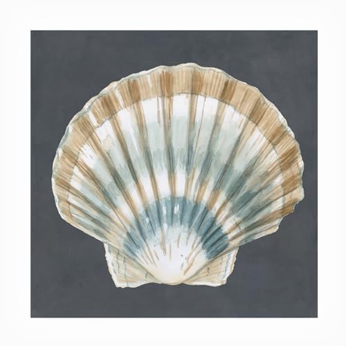 Trademark Fine Art Megan Meagher 'Shell On Slate III' Outdoor Canvas 35x35