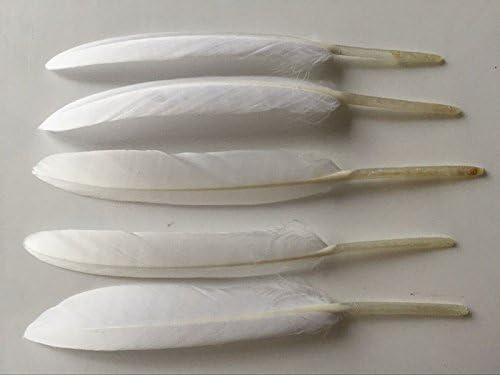 WAKEACE Goose Feathers 100Pieces 4-6 Inch \ 10-15CM DIY Headdress Costume Design