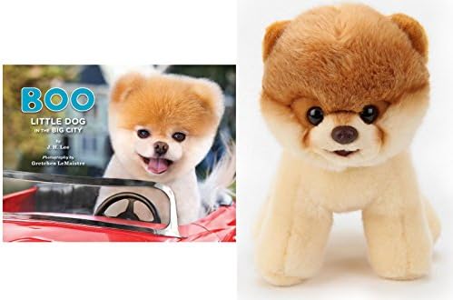 Little Dog in the Big City & Boo Plush - Bundle - Gift for Kids Boys Girls Toddlers