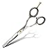 Hair Cutting Scissors Shears - Professional Razor Edge Stainless Steel Salon/Barber Scissor - Hairdressing Scissors