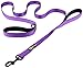 Primal Pet Gear 6ft Long Heavy Duty Double 2 Handle Dog Leash for Large and Medium Dogs, Tough Metal Clip, Durable leashes, Training Lead for Puppy, Strong Dog Leads, Reflective Stitching, Purple