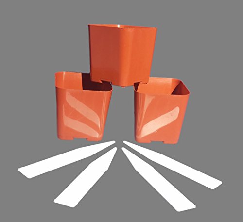 100 Pack of 2 Inch Square Plastic Flower Pots with Labels for Starting Seedlings, or Succulents (100, Terracotta)