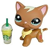 Gigi lps Short Hair Cat #1170 Brown and Blue Eyes Kitty with lps Accessorie Coffee Collars Kids Collectable Figures Kids Gift