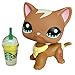 Gigi lps Short Hair Cat #1170 Brown and Blue Eyes Kitty with lps Accessorie Coffee Collars Kids Collectable Figures Kids Gift