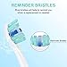 DeBizz Replacement Brush Heads For Philips Sonicare Electric Toothbrush 2 Series Plaque Control HX9024, Fit EasyClean ProResults DiamondClean ProtectiveClean Gum Health HealthyWhite Sonic Care Handles