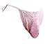 Sissy Pouch Panties Men's Silky Smooth lace Bikini Briefs Lingerie Underwear Sexy for Men (L, Pink)