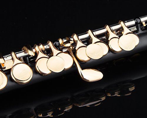 Glory Key of C Piccolo with Pro Case, Joint Grease, Cleaning Cloth and Rod, and Gloves, Black/Gold keys ~ More COLORS Available ! CLICK on LISTING to SEE All Colors