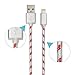 Hallein Nylon Braided Sync and Charge Lightning to USB Cable [2 pack 10ft]