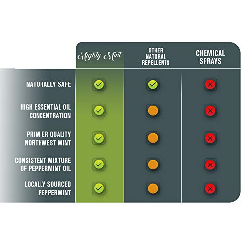 4 Mighty+Mint+Control+Peppermint+Natural