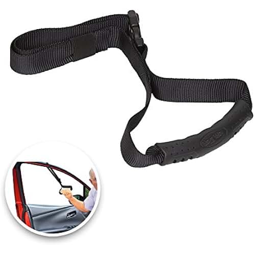 car handicap accessories