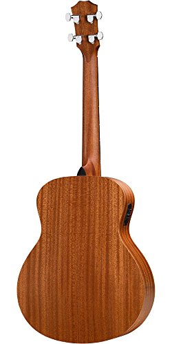 3 Taylor+GS+Acoustic+Electric+Bass+Regular