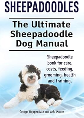 sheepadoodle bc