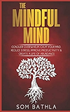 The Mindful Mind: Conquer Overwhelm, Calm Your Mind, Reduce Stress, Improve Productivity &amp; Create a Life of Abundance