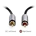 Cable Matters 3.5mm to RCA Cable (Aux to RCA Adapter Cable) in Black 6 Feet
