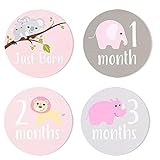 Best Paper Greetings 24 Count Baby Milestone Stickers for Girls - Baby Monthly Stickers for Baby Scrapbook, Keepsake Journal and Baby Pictures