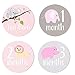 Best Paper Greetings 24 Count Baby Milestone Stickers for Girls - Baby Monthly Stickers for Baby Scrapbook, Keepsake Journal and Baby Pictures