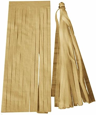 CHCUAN 5 pcs Party TISSUE PAPER TASSELS Wedding decor Garland Tassle Bunting Pom Pom Pip by Originals Group