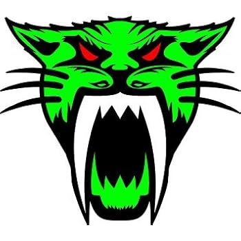 Amazon.com: Vinyl USA Arctic Cat Logo Sticker 4" X 4.5 ...