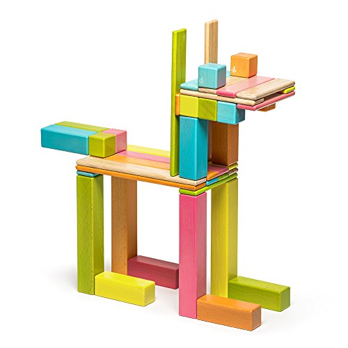 42 Piece Tegu Magnetic Wooden Block Expansion Pack Large, Tints