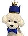 Pet Cute Birthday Party Crown Hat and Blingbling Bow Tie Collar Set with Adjustable Elastic Headband and Crown Topper for Small Dogs Cats Kitten Puppy