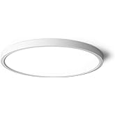 TALOYA LED Ceiling Light Living Room White, 15.8 Inch Thin Flat Modern Flush Mount Lighting Fixture for Bedroom,5 Color Tempe