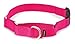 PetSafe Martingale Dog Collar with Quick-Snap Buckle - Petite, 3/8 Inch, Raspberry