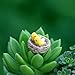 Floralby Fairy Garden Kit, Miniature Birds DIY Dollhouse Fairy Garden Ornament