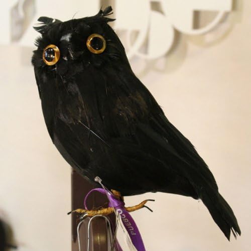 Amazon プエブコ Puebco バードオフジェ Artificial Birds 黒フクロウ Black Owl Sサイズ 横向き 1276 置物 オブジェ オンライン通販