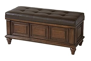 Amazon.com: Stein World Furniture Olivia Storage Trunk, Warm Brown ...