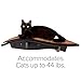 Arf Pets Cat Shelf, Wall-Mounted Desined Wooden Cat Perch - Holds Cats Up to 44 Lb