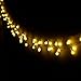 LE 100 LED 33ft Globe Ball Long String Lights, 8 Modes, Fairy Twinkle Bulb, Waterproof Outdoor Garden Patio Party Wedding Christmas Decoration, UL Listed Power Adapter, Warm White