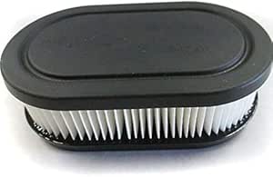 Amazon.com : BMotorParts Air Filter Cleaner for 140cc Craftsman M110