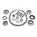 Yukon Gear & Axle (YK C8.25-B) Master Overhaul Kit for Chrysler 8.25 Differential
