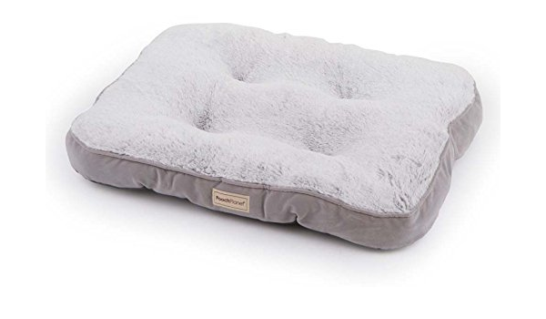 pooch planet bed