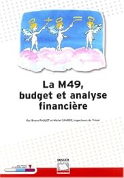 La  M 49, budget et analyse financière