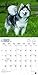Alaskan Malamutes 2017 Calendar